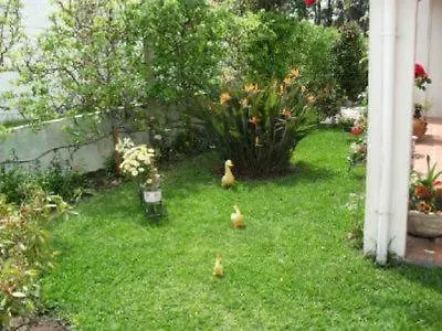 Vivenda Atlantico Vila Praia de Âncora